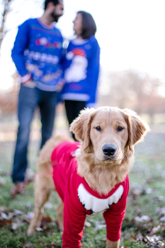 View More: http://elizabethalicephotography.pass.us/fransonchristmas2015