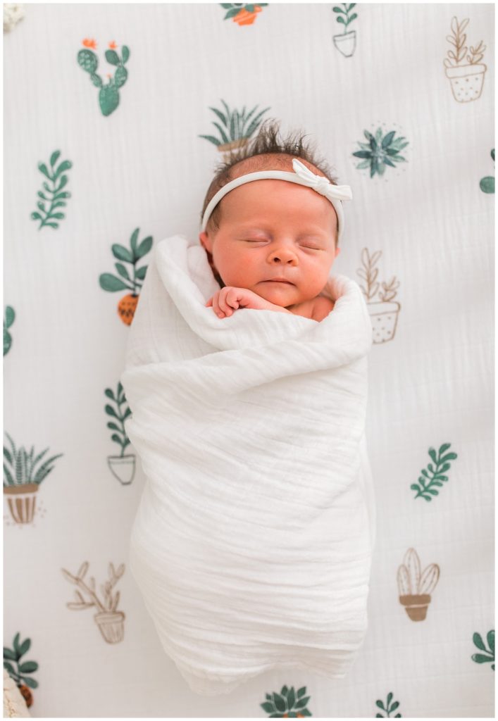 Newborn Cactus Nursery Photography