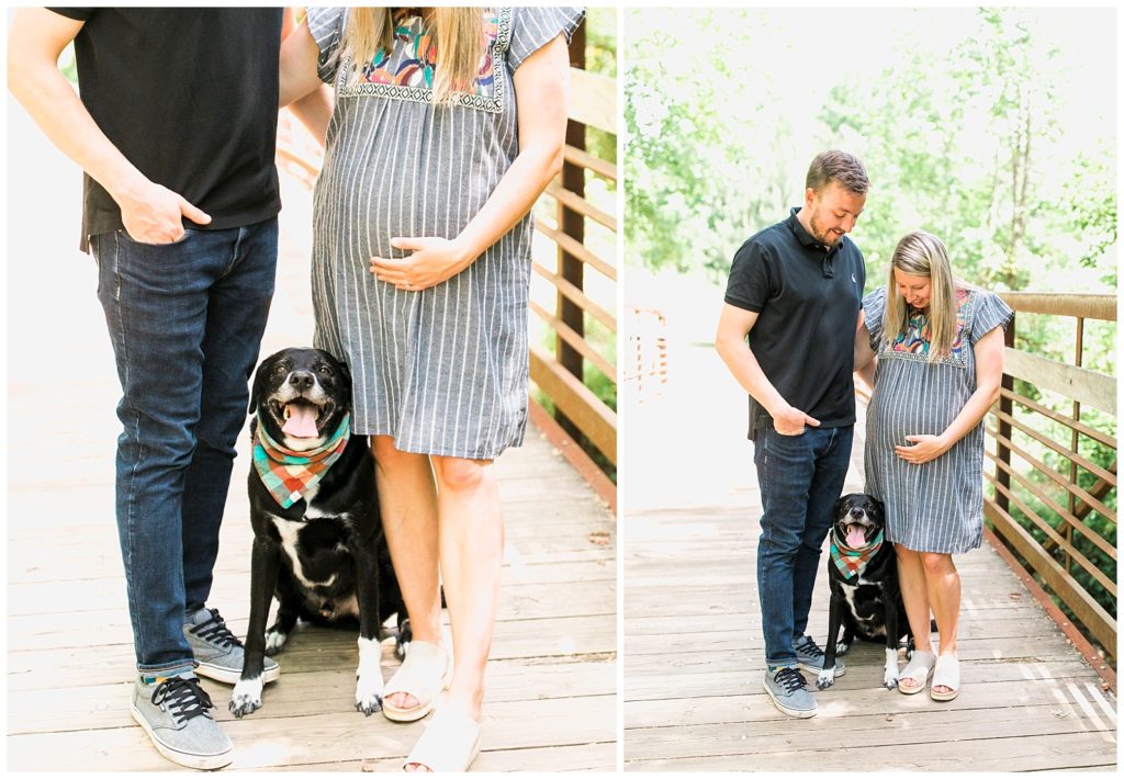 Raleigh Photographer Maternity Session with dog