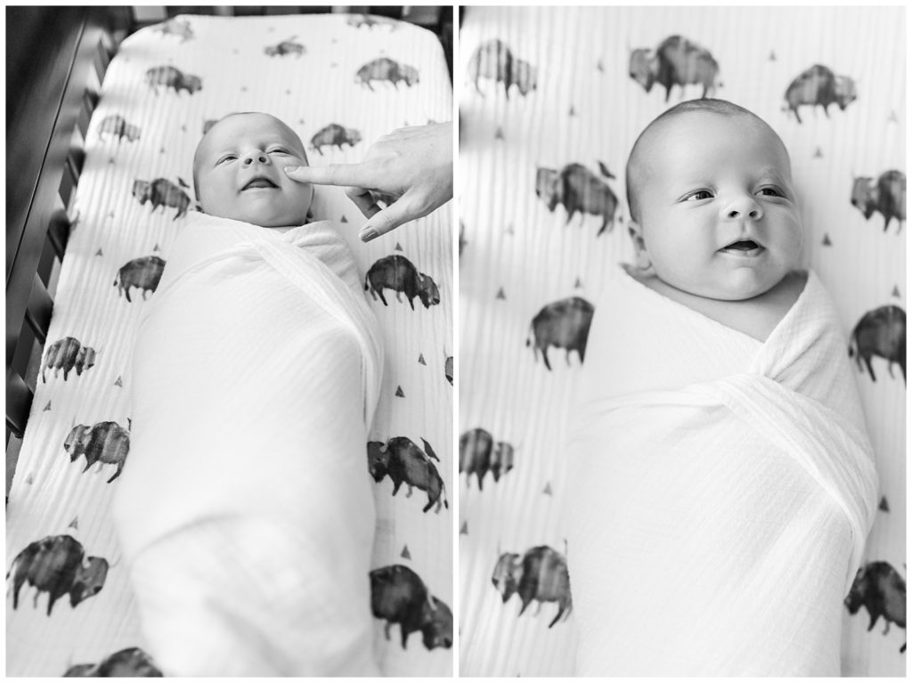 Baby boy newborn photography